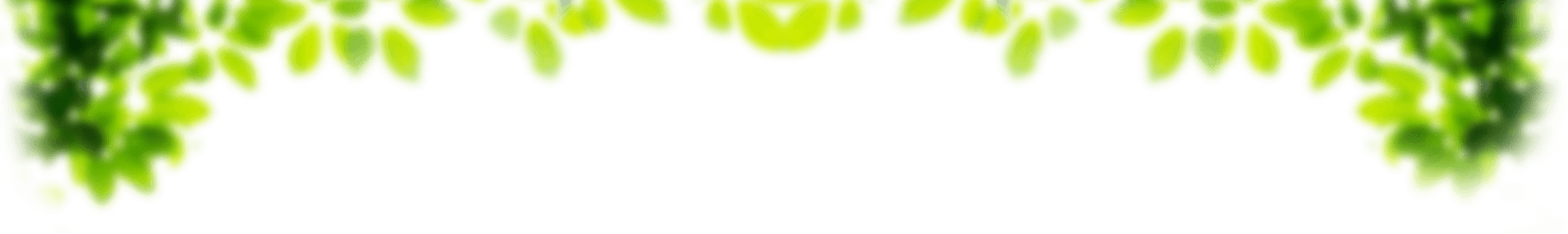 Fond feuilles floues