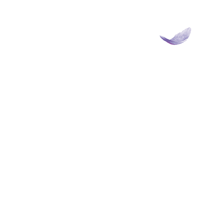 Pétales animation